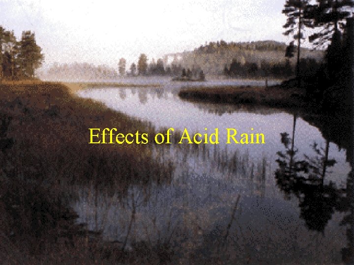 Effects of Acid Rain 