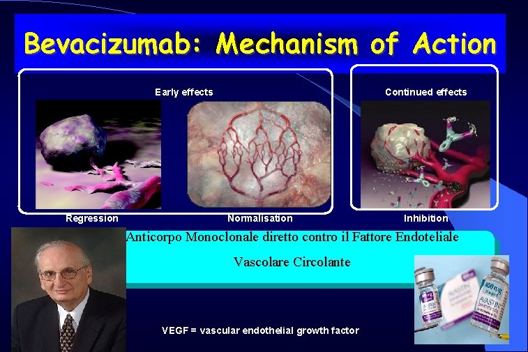 Bevacizumab: Mechanism of Action Early effects Regression Continued effects Normalisation Inhibition Anticorpo Monoclonale diretto