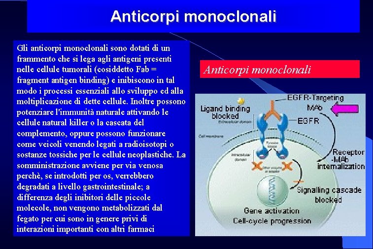 Anticorpi monoclonali Gli anticorpi monoclonali sono dotati di un frammento che si lega agli