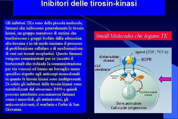 Inibitori delle tirosin-kinasi Gli inibitori TKs sono delle piccole molecole, farmaci che inibiscono generalmente