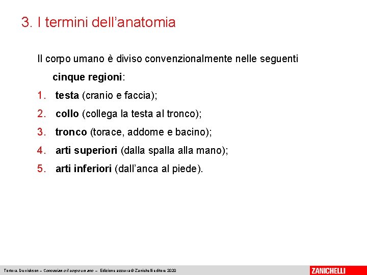 3. I termini dell’anatomia Il corpo umano è diviso convenzionalmente nelle seguenti cinque regioni: