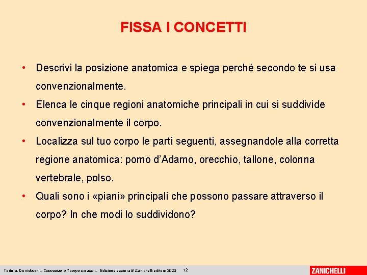 FISSA I CONCETTI • Descrivi la posizione anatomica e spiega perché secondo te si