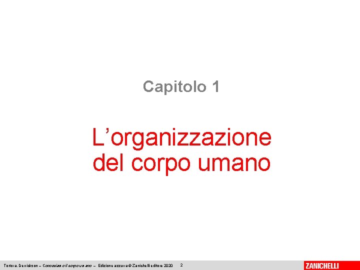 Capitolo 1 L’organizzazione del corpo umano Tortora, Derrickson – Conosciamo il corpo umano –