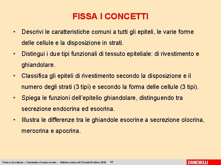 FISSA I CONCETTI • Descrivi le caratteristiche comuni a tutti gli epiteli, le varie