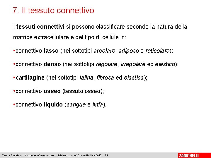 7. Il tessuto connettivo I tessuti connettivi si possono classificare secondo la natura della