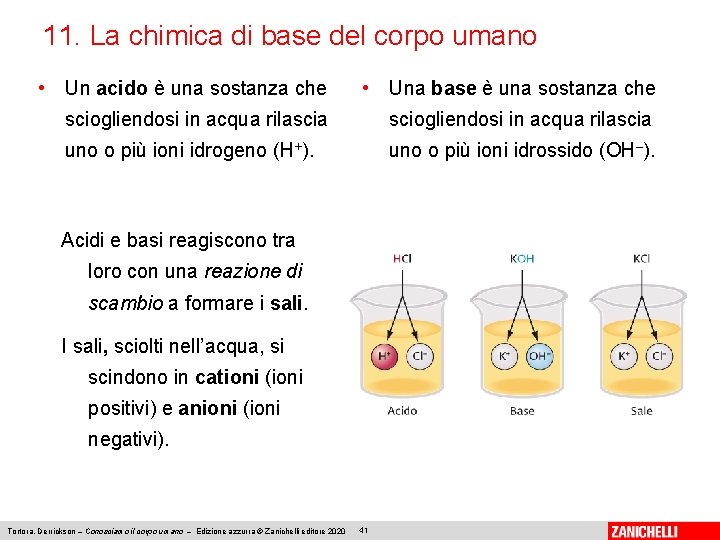 11. La chimica di base del corpo umano • Un acido è una sostanza