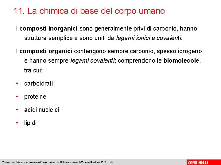 11. La chimica di base del corpo umano I composti inorganici sono generalmente privi