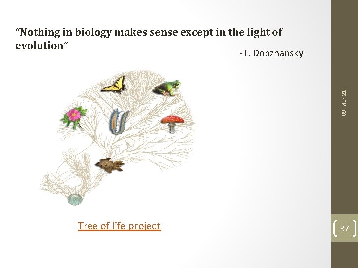 09 -Mar-21 “Nothing in biology makes sense except in the light of evolution” -T.