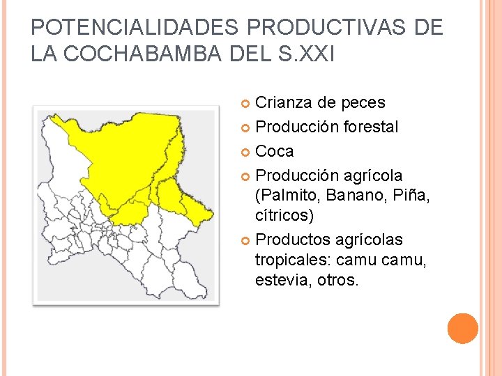 POTENCIALIDADES PRODUCTIVAS DE LA COCHABAMBA DEL S. XXI Crianza de peces Producción forestal Coca