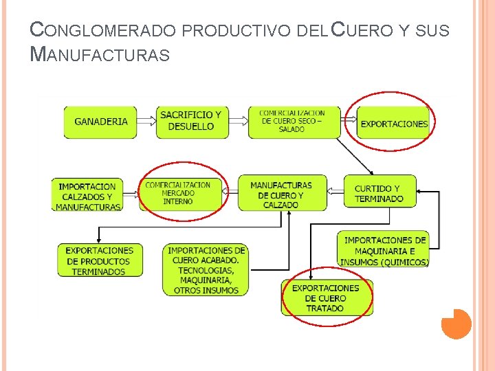 CONGLOMERADO PRODUCTIVO DEL CUERO Y SUS MANUFACTURAS 