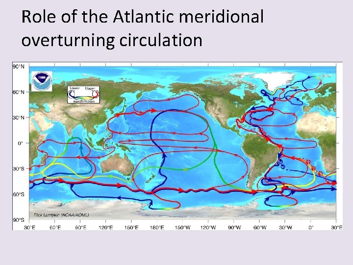 Role of the Atlantic meridional overturning circulation 