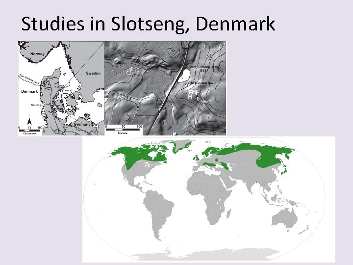 Studies in Slotseng, Denmark 