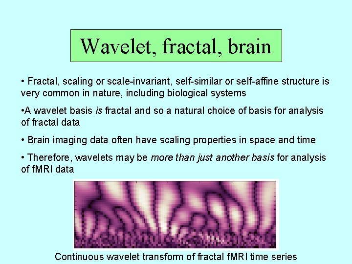 Wavelet, fractal, brain • Fractal, scaling or scale-invariant, self-similar or self-affine structure is very