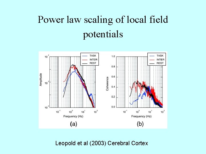 Power law scaling of local field potentials Leopold et al (2003) Cerebral Cortex 