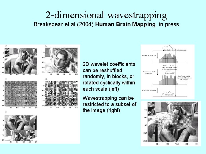 2 -dimensional wavestrapping Breakspear et al (2004) Human Brain Mapping, in press 2 D