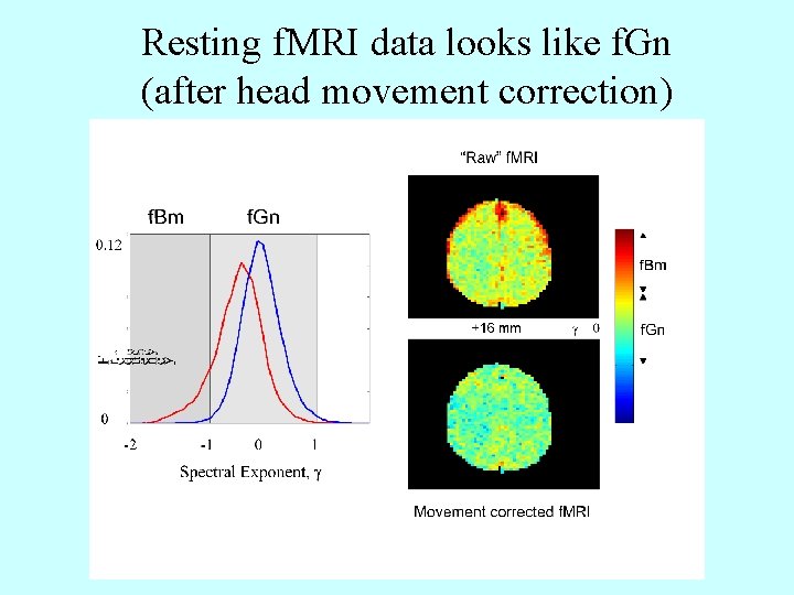 Resting f. MRI data looks like f. Gn (after head movement correction) 