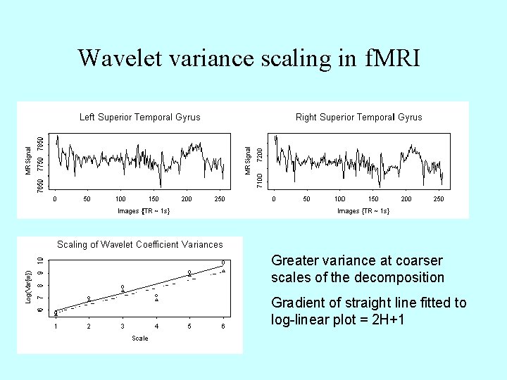 Wavelet variance scaling in f. MRI Greater variance at coarser scales of the decomposition