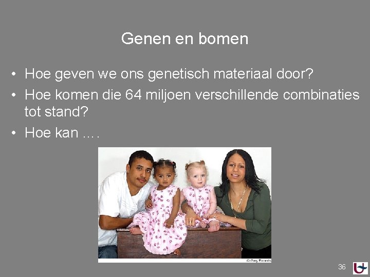 Genen en bomen • Hoe geven we ons genetisch materiaal door? • Hoe komen