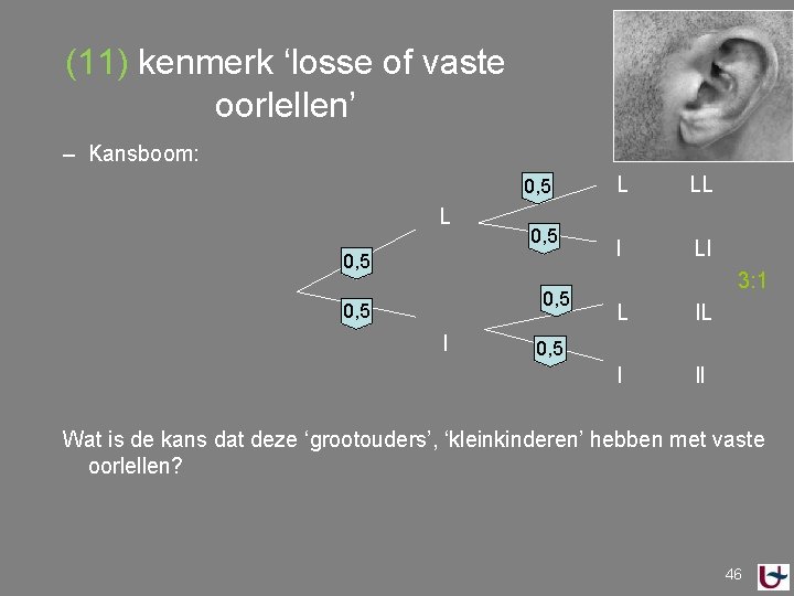 (11) kenmerk ‘losse of vaste oorlellen’ – Kansboom: 0, 5 L 0, 5 I