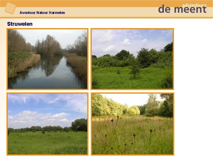 Avontuur Natuur Harmelen Struwelen 