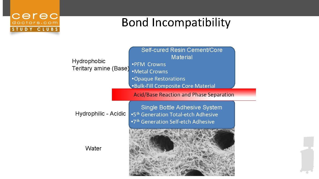 Bond Incompatibility Self-cured Resin Cement/Core Material Hydrophobic • PFM Crowns Teritary amine (Base) •