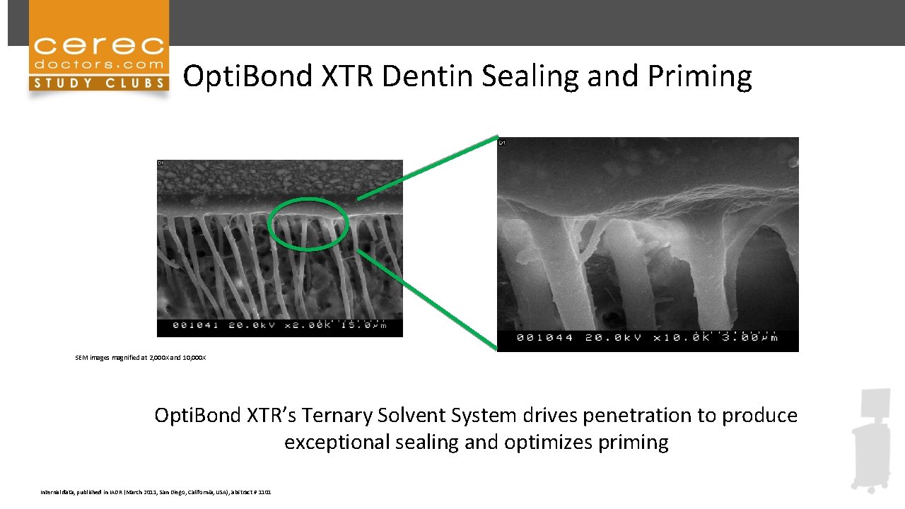 Opti. Bond XTR Dentin Sealing and Priming SEM images magnified at 2, 000 X