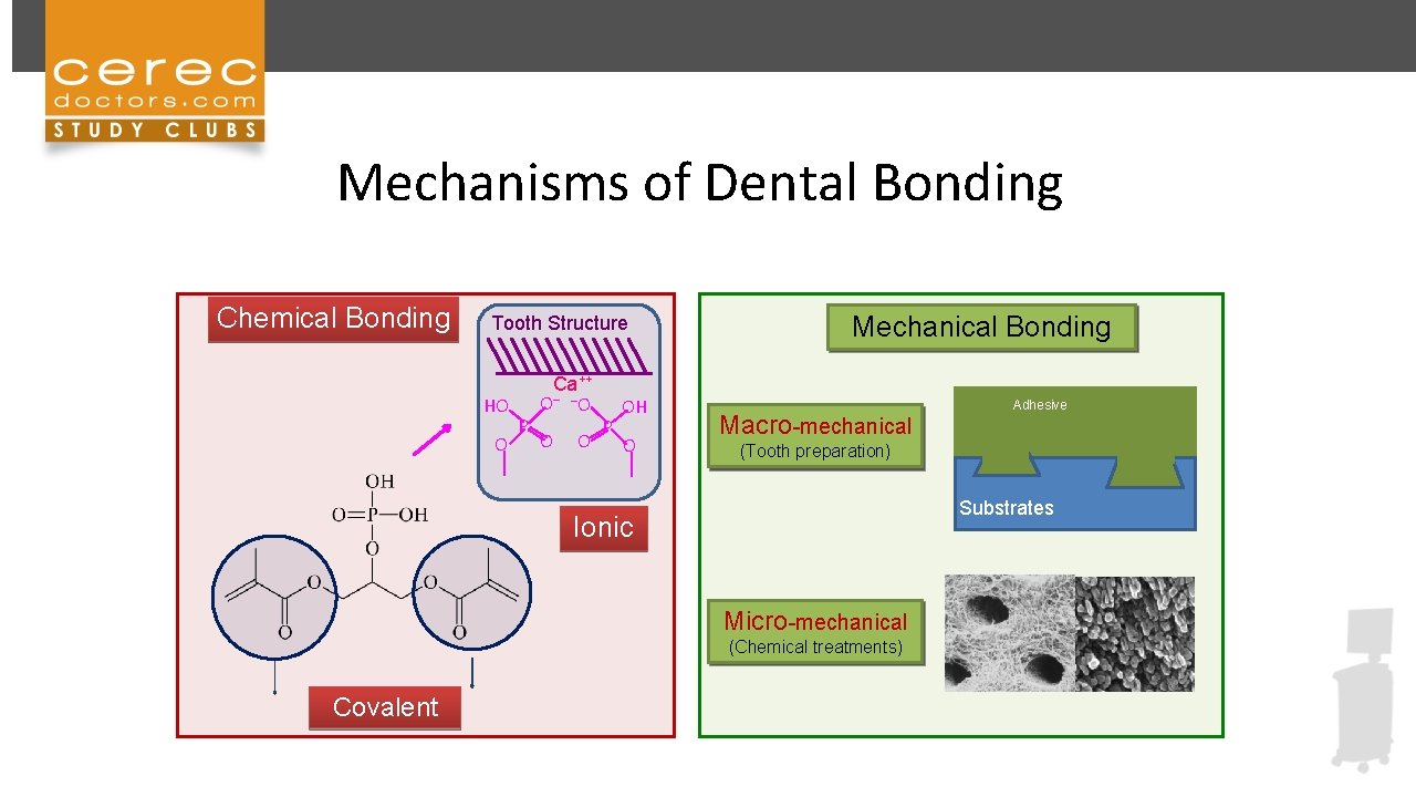 Mechanisms of Dental Bonding Chemical Bonding Tooth Structure HO O P ++ Ca _