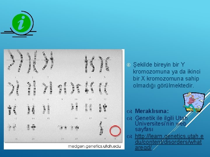  TURNER SENDROMU Şekilde bireyin bir Y kromozomuna ya da ikinci bir X kromozomuna