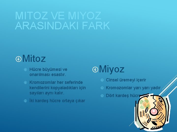 MITOZ VE MIYOZ ARASINDAKI FARK Mitoz Hücre büyümesi ve onarılması esastır. Kromozomlar her seferinde