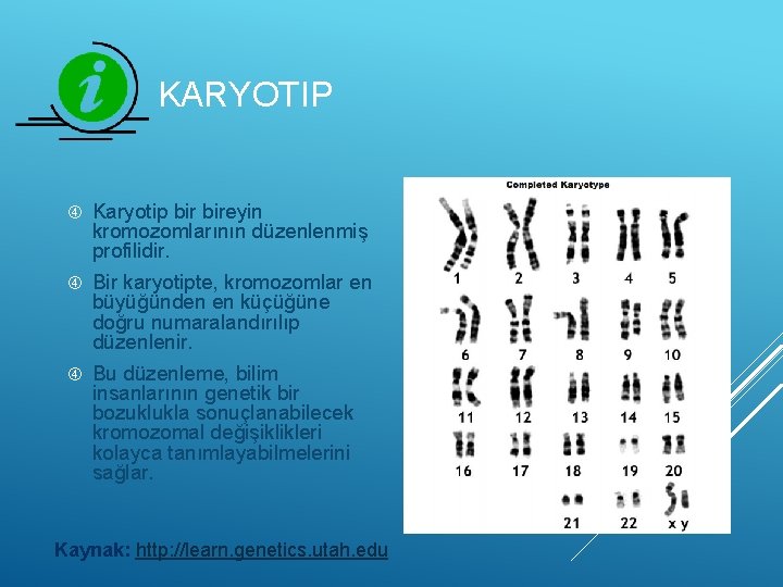 KARYOTIP Karyotip bireyin kromozomlarının düzenlenmiş profilidir. Bir karyotipte, kromozomlar en büyüğünden en küçüğüne doğru