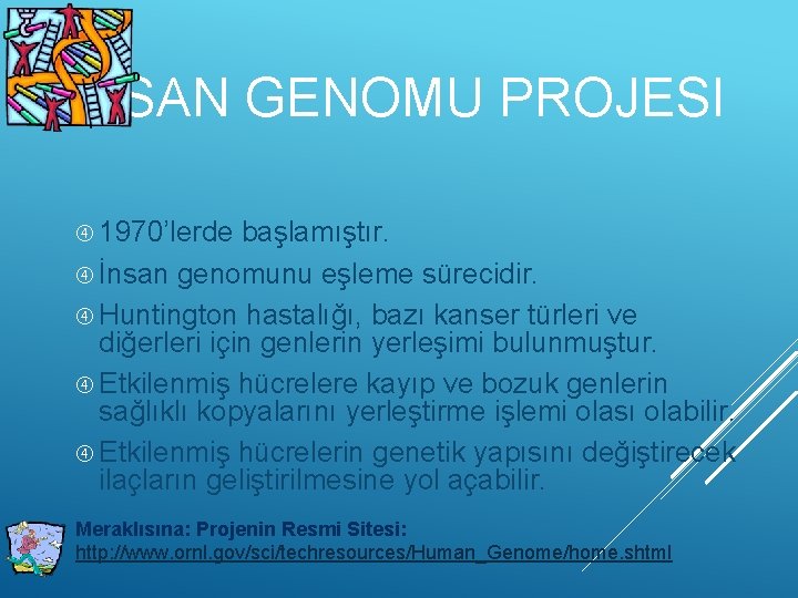 İNSAN GENOMU PROJESI 1970’lerde başlamıştır. İnsan genomunu eşleme sürecidir. Huntington hastalığı, bazı kanser türleri