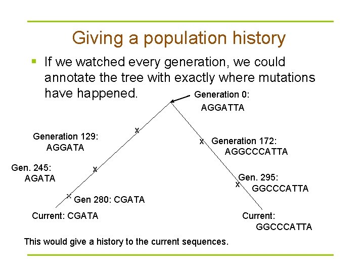 Giving a population history § If we watched every generation, we could annotate the