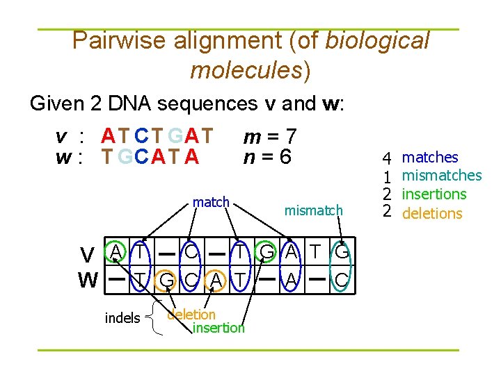 Pairwise alignment (of biological molecules) Given 2 DNA sequences v and w: v :