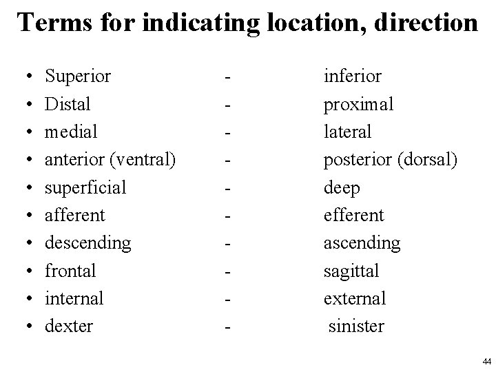 Terms for indicating location, direction • • • Superior Distal medial anterior (ventral) superficial