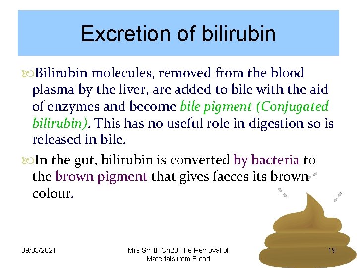 Excretion of bilirubin Bilirubin molecules, removed from the blood plasma by the liver, are