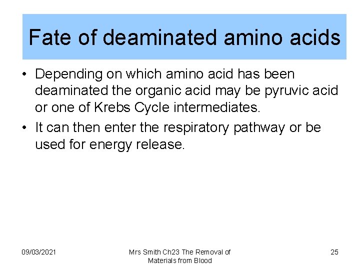 Fate of deaminated amino acids • Depending on which amino acid has been deaminated