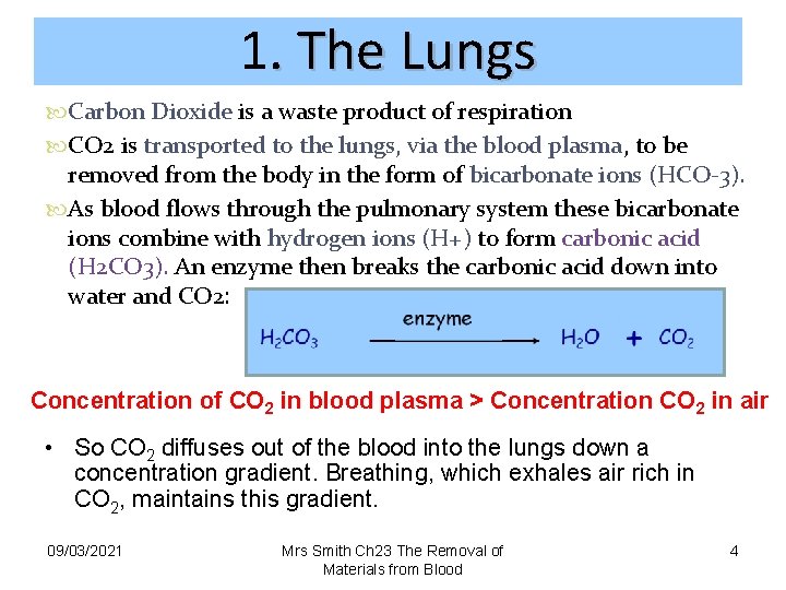 1. The Lungs Carbon Dioxide is a waste product of respiration CO 2 is