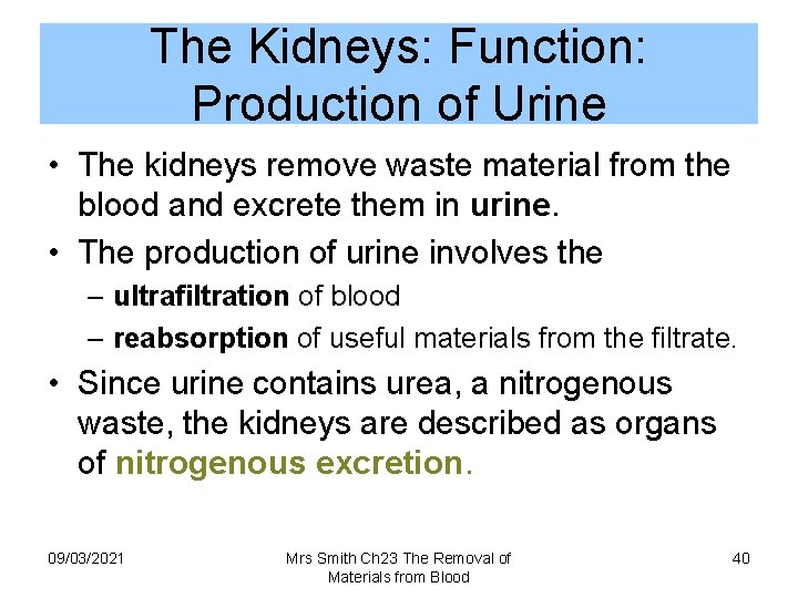 The Kidneys: Function: Production of Urine • The kidneys remove waste material from the