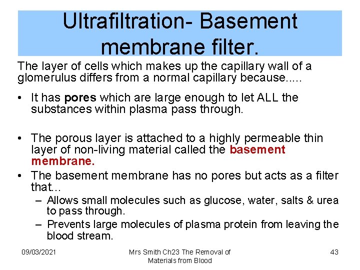 Ultrafiltration- Basement membrane filter. The layer of cells which makes up the capillary wall