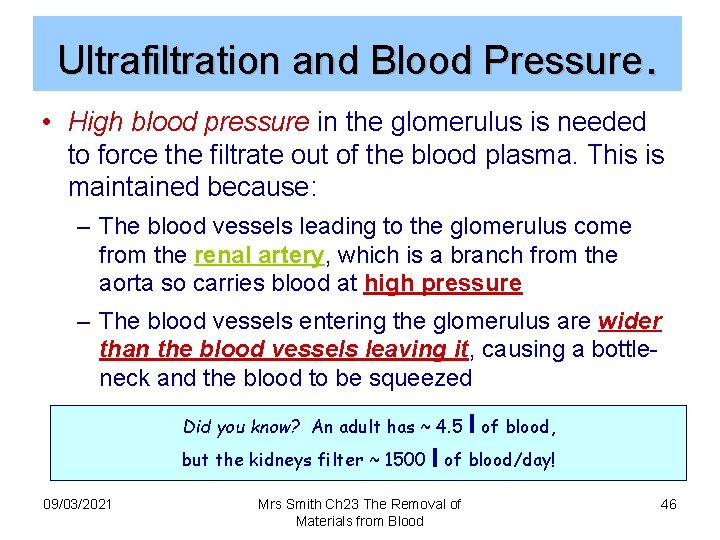 Ultrafiltration and Blood Pressure. • High blood pressure in the glomerulus is needed to