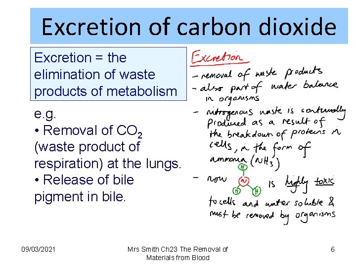 Excretion of carbon dioxide Excretion = the elimination of waste products of metabolism e.