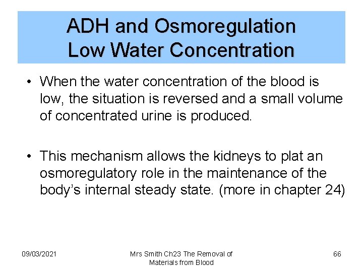 ADH and Osmoregulation Low Water Concentration • When the water concentration of the blood