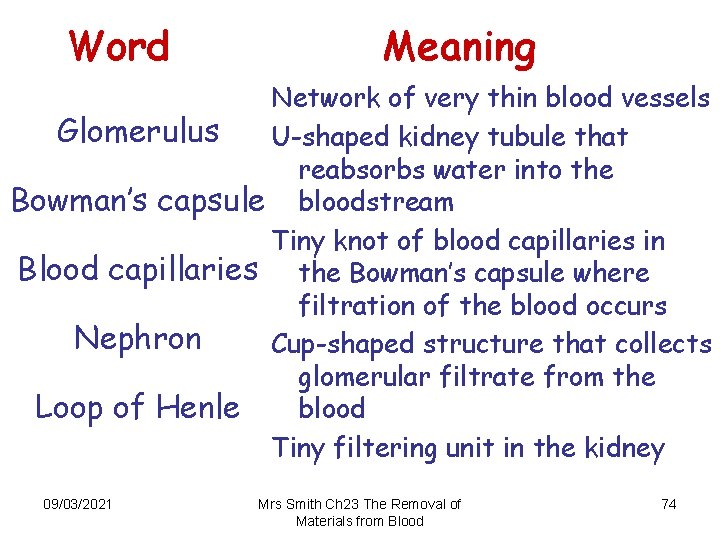 Word Meaning Network of very thin blood vessels Glomerulus U-shaped kidney tubule that reabsorbs