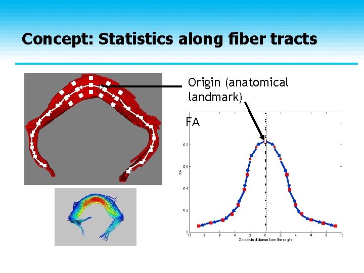 Concept: Statistics along fiber tracts Origin (anatomical landmark) FA 