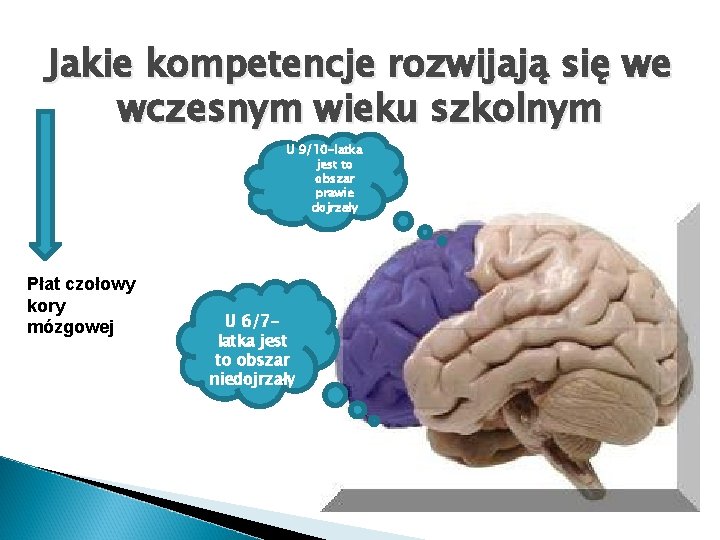 Jakie kompetencje rozwijają się we wczesnym wieku szkolnym U 9/10 -latka jest to obszar