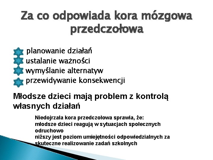Za co odpowiada kora mózgowa przedczołowa planowanie działań ustalanie ważności wymyślanie alternatyw przewidywanie konsekwencji