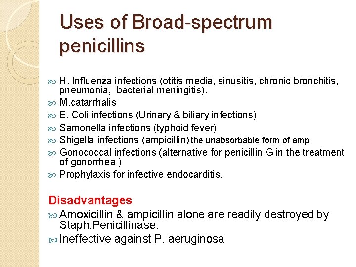 Uses of Broad-spectrum penicillins H. Influenza infections (otitis media, sinusitis, chronic bronchitis, pneumonia, bacterial