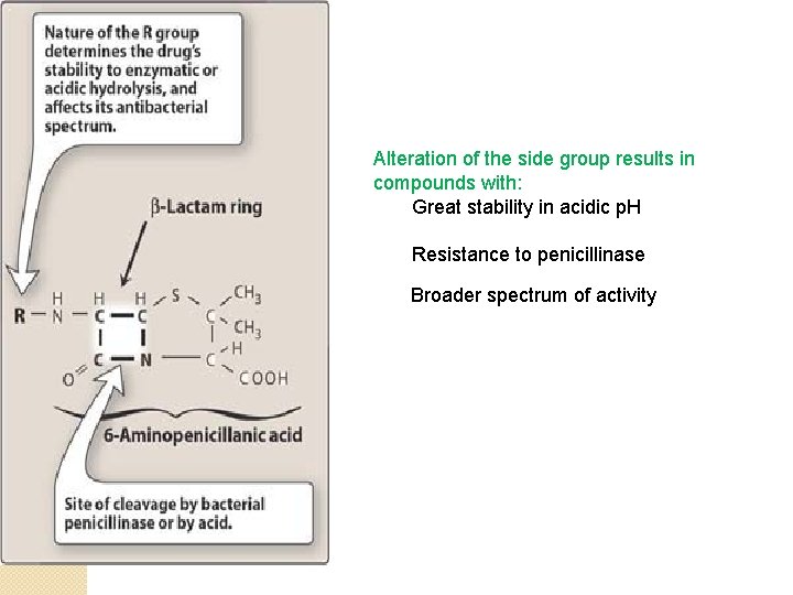 Alteration of the side group results in compounds with: Great stability in acidic p.