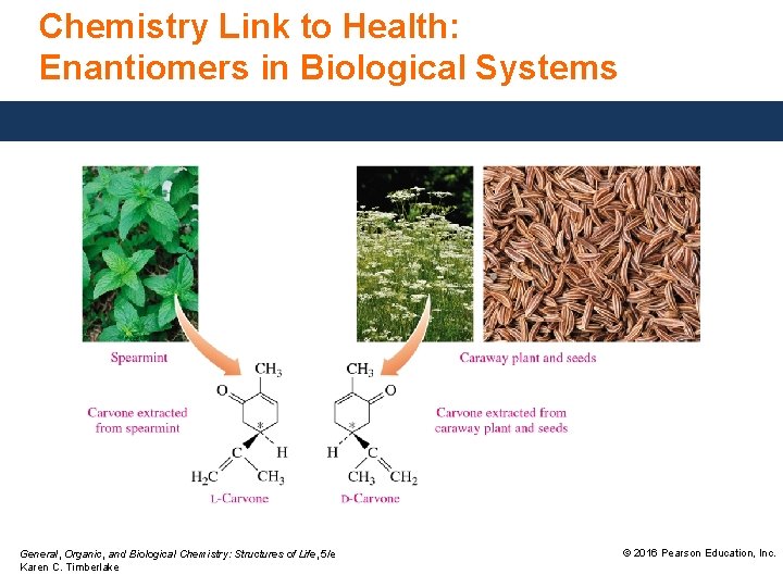 Chemistry Link to Health: Enantiomers in Biological Systems General, Organic, and Biological Chemistry: Structures