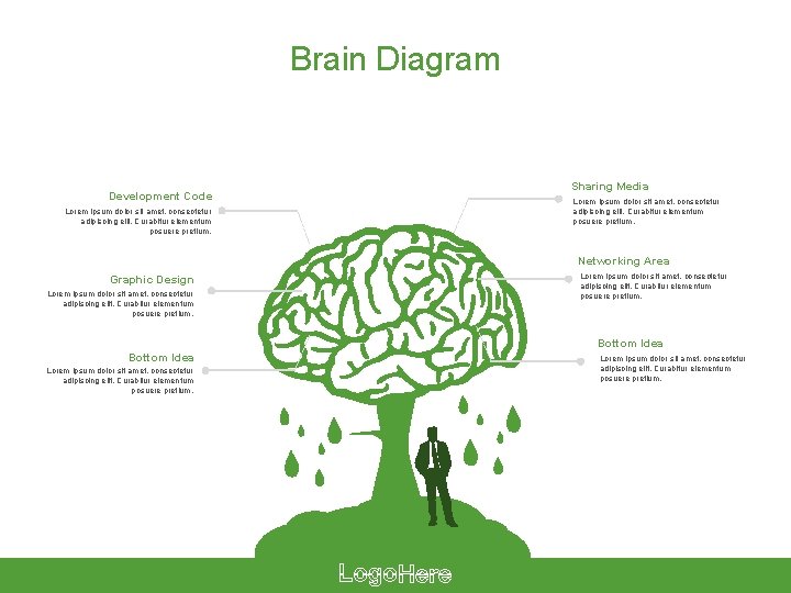 Brain Diagram Development Code Lorem ipsum dolor sit amet, consectetur adipiscing elit. Curabitur elementum